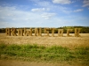 Brownstock Bales Sign