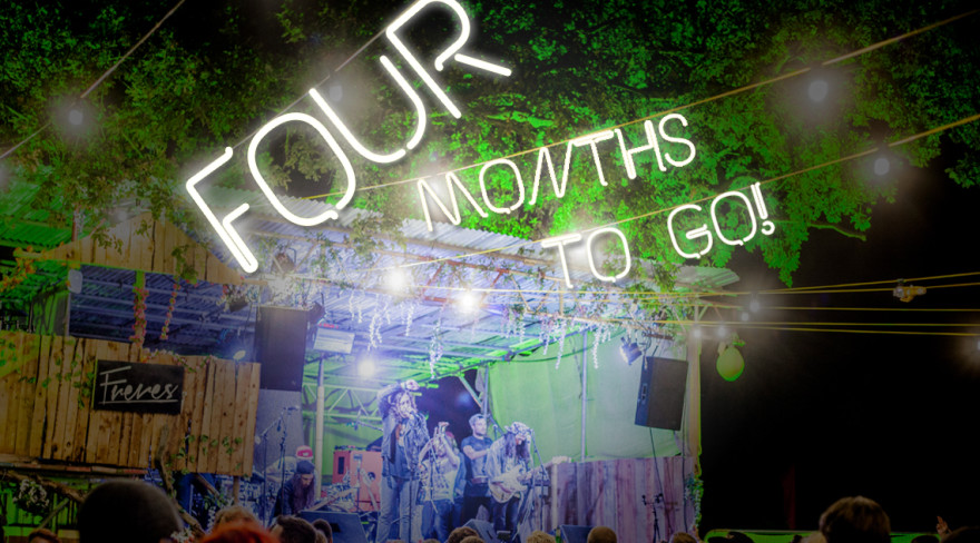 brownstock 4 months to go